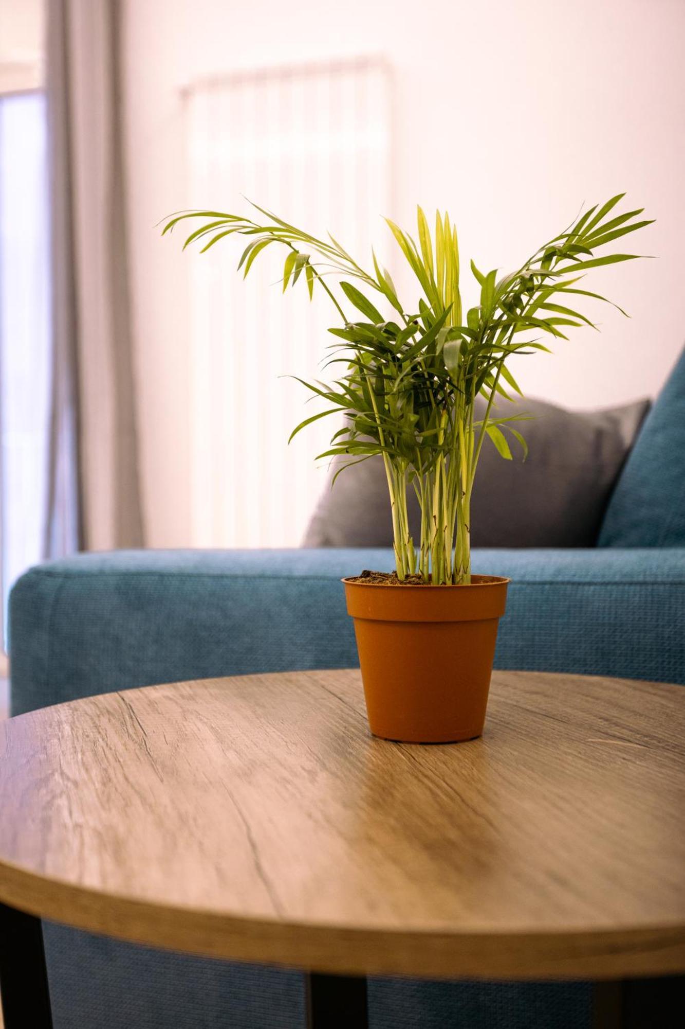 Song House Apartment Centro Storico 7 Pax نابولي المظهر الخارجي الصورة